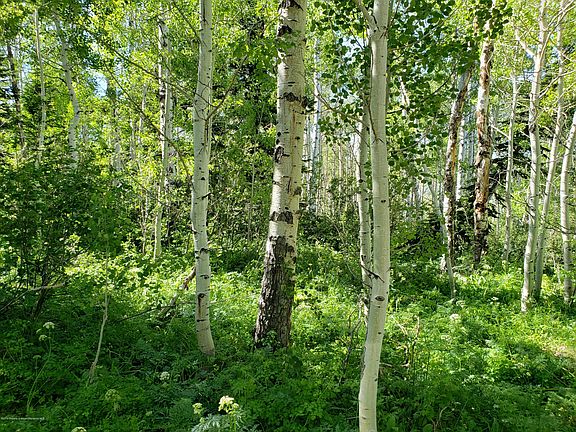2nd image of 967 Game Reserve Dr Lot 518