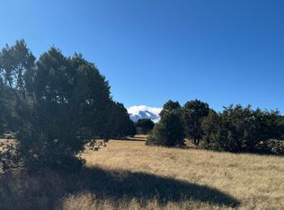 L183 Saddleback Rd, Alto, NM 88312