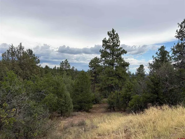 2932 Crooked Road, Pagosa Springs, CO 81147