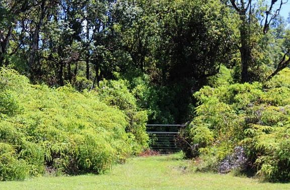 2nd image of 13-1302 Leilani Ave Lot 35