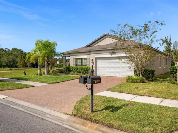 19506 Whispering Brook Dr, Tampa, FL 33647