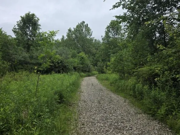 4719 Township 115 Rd, Mount Gilead, OH 43338