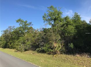 0 Saltsdale Rd, Umatilla, FL 32784