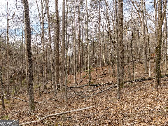 5th image of LOT 167 Henderson Mountain Rd