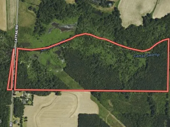 0 Cattail Road, Elm City, NC 27822
