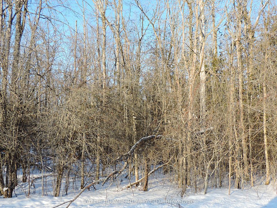 1st image of L3 Harding Rd #297