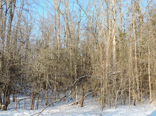 L3 Harding Rd #297, Lanark Highlands, ON K0G 1K0