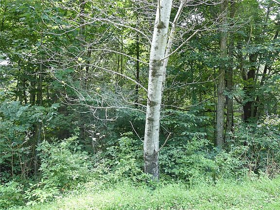 4th image of lot 17 Farm Loop Road