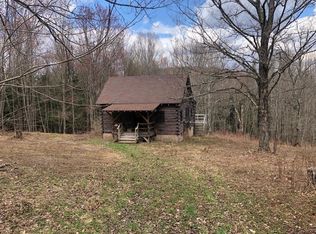 438 McMurdy Hill Rd, Hobart, NY 13788