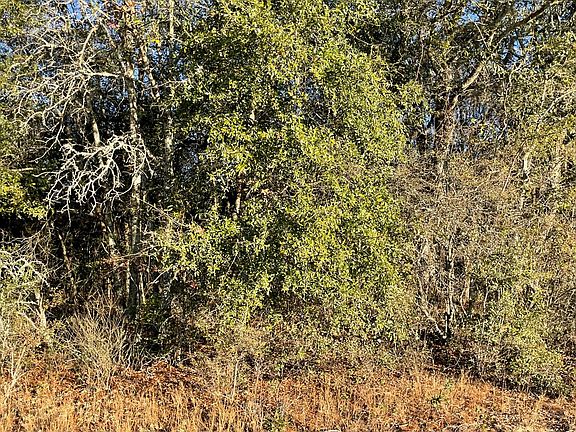 3rd image of Jarriels Bridge Spur