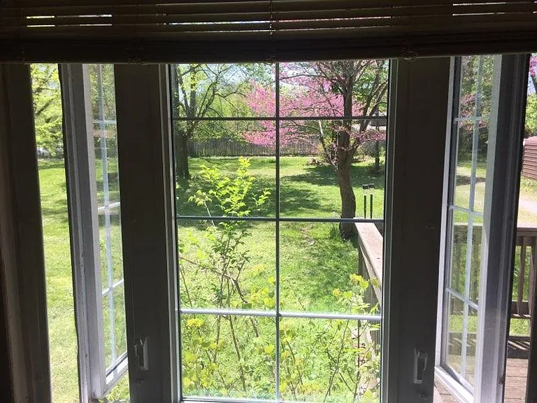 View from Living Room Spring