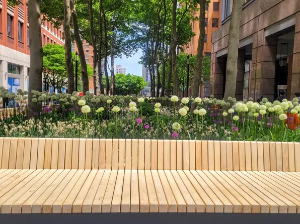 388 Bridge Street image 30 of 33