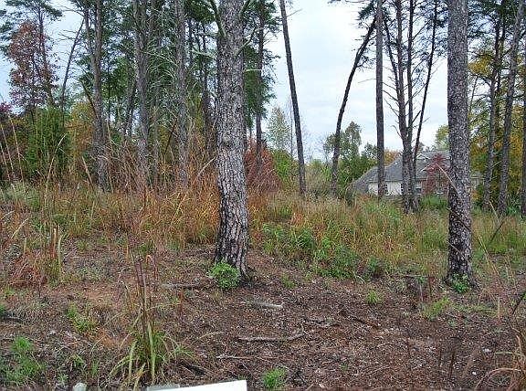 5th image of 309 Hidden Creek Cir