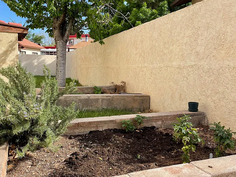 The side yard has a garden area with grow boxes and fruit trees.