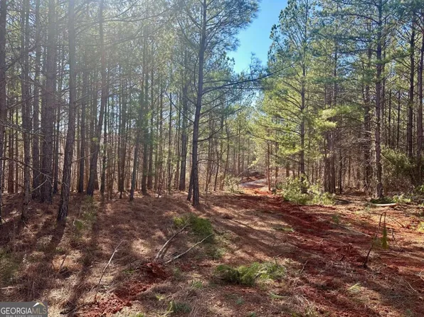 5-/ Patriot Trl, Dahlonega, GA 30533