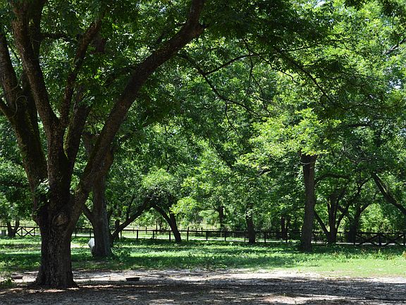 4th image of Lot 1 N May Street