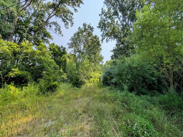 Luce Rd, Flushing, MI 48433