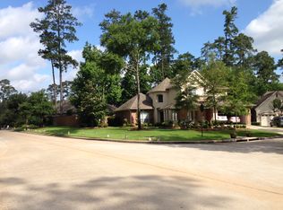 14 Prosewood Ct, Spring, TX 77381