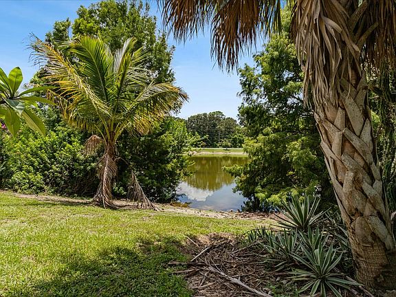 Back pond area