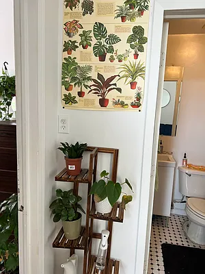 Rented by Delmark Realty LLC | media 26