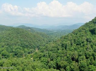 165 Anatole Pass, Townsend, TN 37882