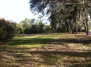 30 Lafar St, Daniel Island, SC 29492