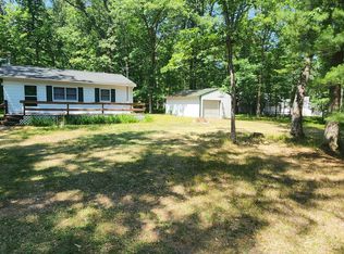 8555 W River Rd, Irons, MI 49644