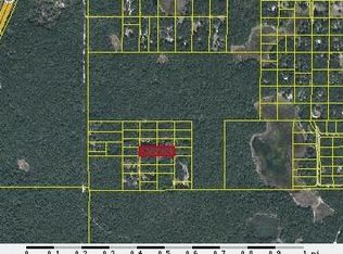 11854 SW 56th Ter, Webster, FL 33597