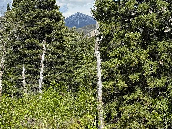 3rd image of Baker Creek Road Panadero Loop Lot 27