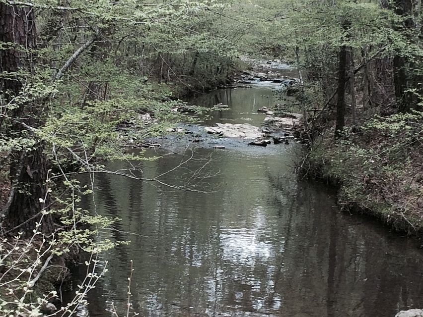 1st image of 151 Acres Hwy #84