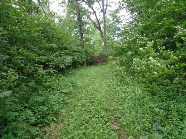 XXX 260th Avenue, Luck, WI 54853