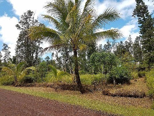 1st image of 16-2086 Plumeria Dr Lot 36
