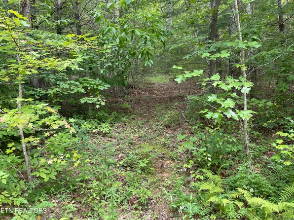 Hurricane Rd, Huntsville, TN 37756