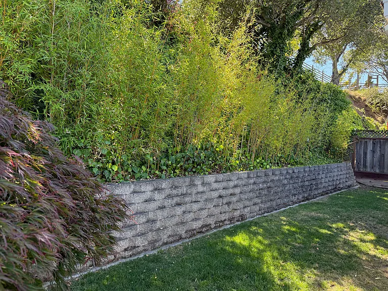 800 Buckland Ave — Photo 38