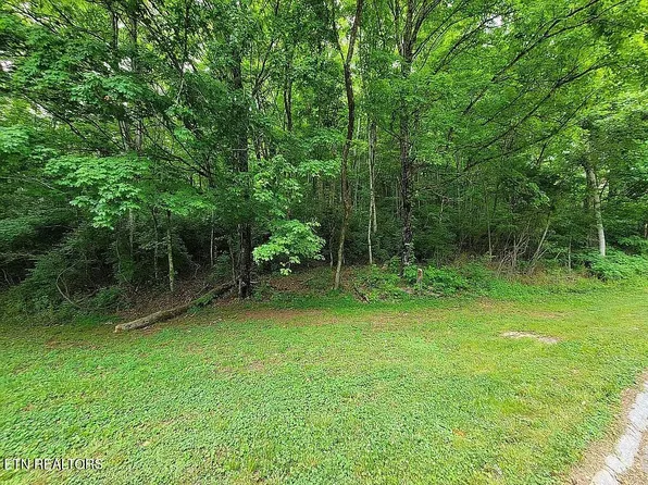 Wealdwood Dr, Clinton, TN 37716