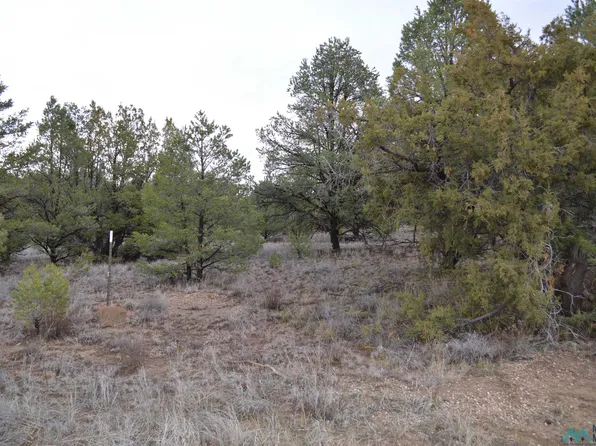 5 Gods Acre Rd, Pinehill, NM 87357