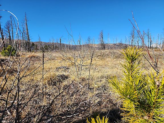 2nd image of 0 Kinzel Pl Lot 1371
