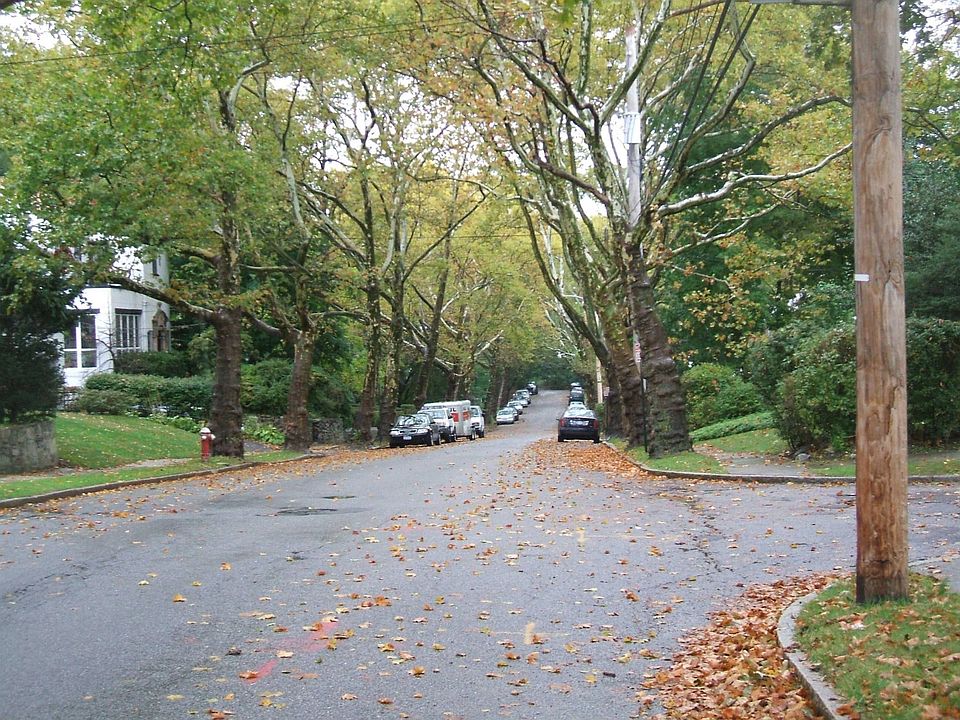 2nd image of 19 Marion Ave