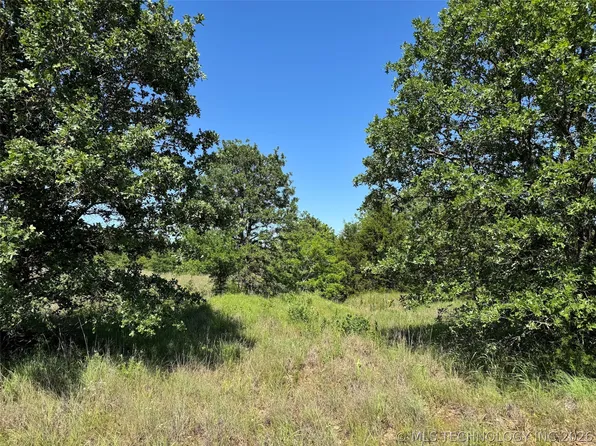 2670 Buck Horn Rd, Healdton, OK 73438
