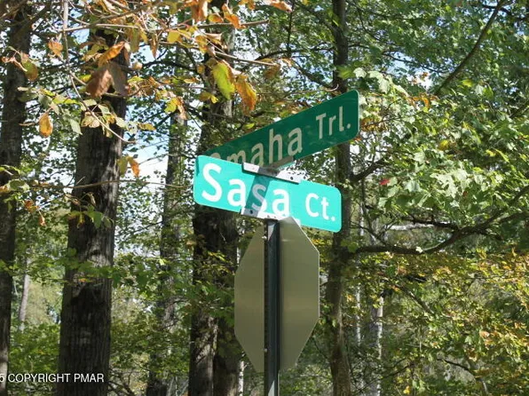 Omaha Trl #21, Pocono Lake, PA 18347