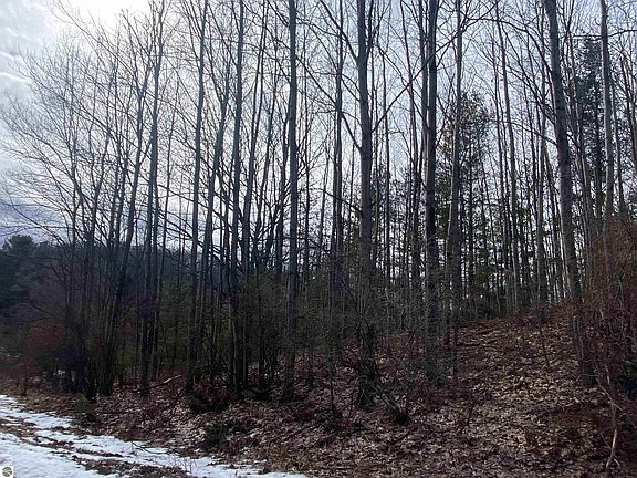 4th image of LOT 30 Scenic Hills Dr