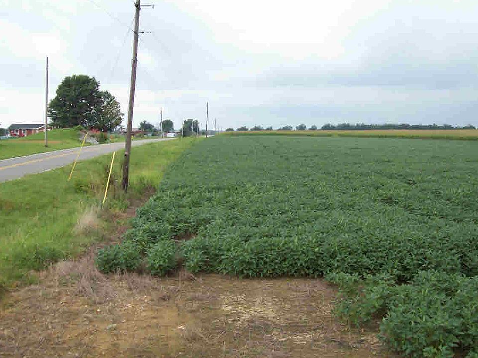 2nd image of Borderline Rd