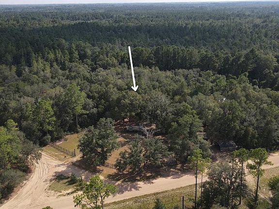 3rd image of 688 Satilla Cir