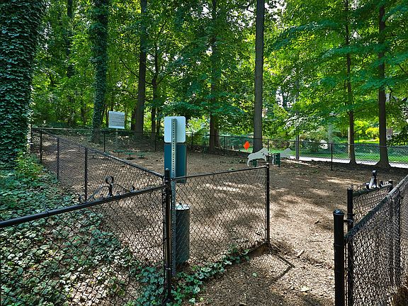 Dog Park
