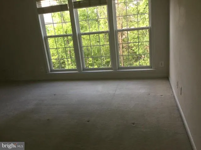 13416 Midnight Blue Pl — Photo 10