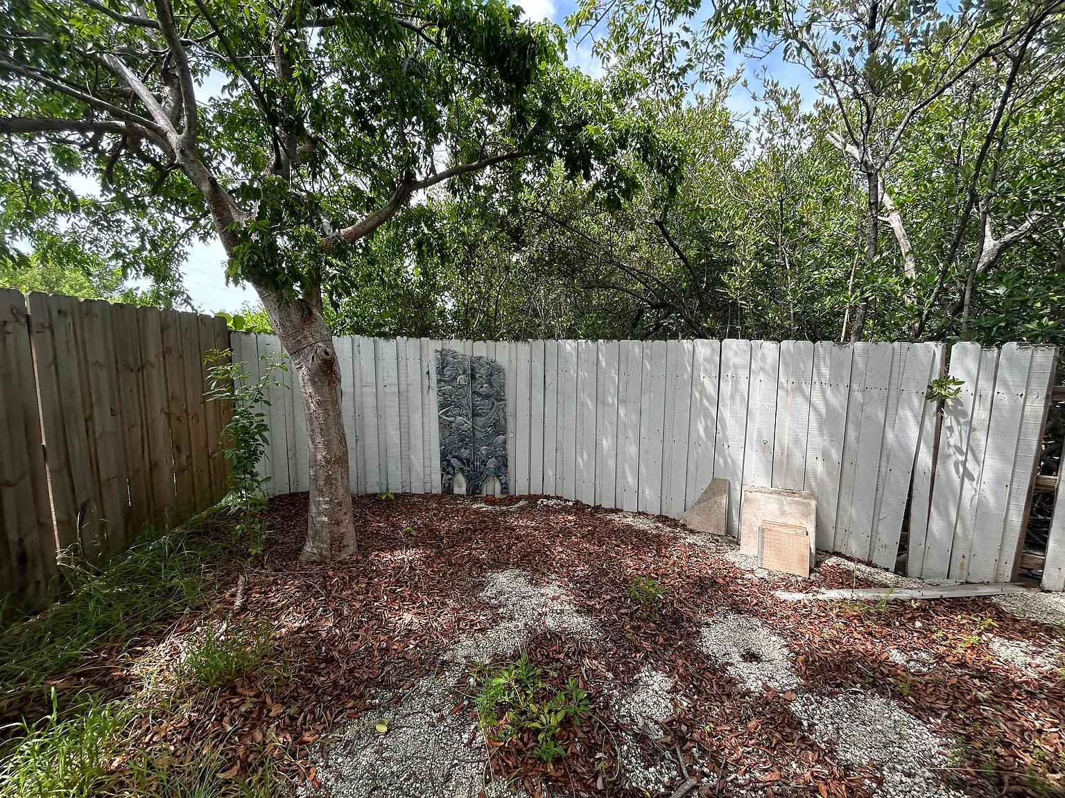 4 bed, 2.0 bath, 1265 sqft, $3,300 — Photo 4