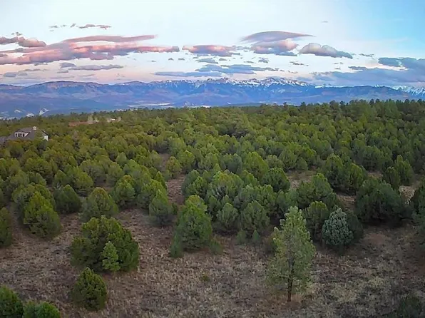 230 Fisher Canyon Drive, Ridgway, CO 81432