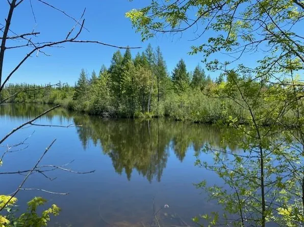 00 HOLDEN ROAD, Rib Lake, WI 54470
