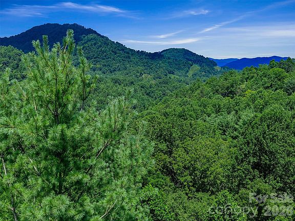 5th image of 0 Cove Mountain Rd