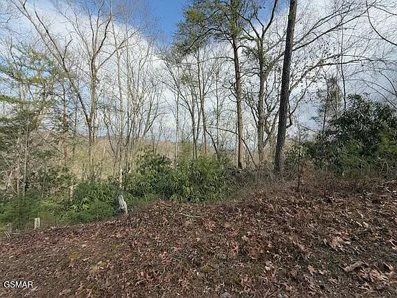 5th image of 973 & 974 Ridgefield Dr